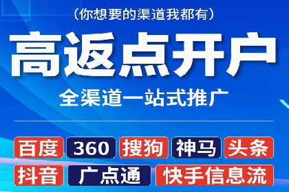 某电商平台的SEM策略与效果展示
